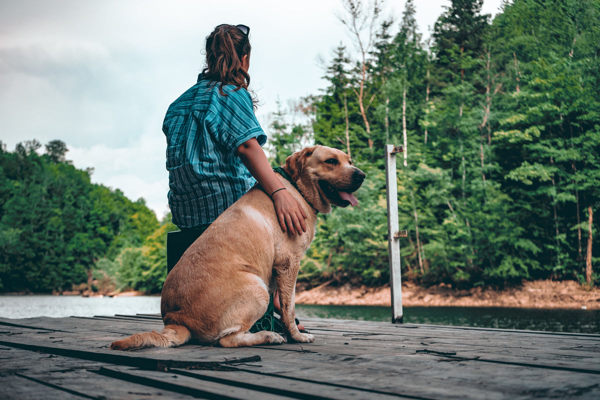 A woman sitting beside her Labrador at the edge of a calm lake